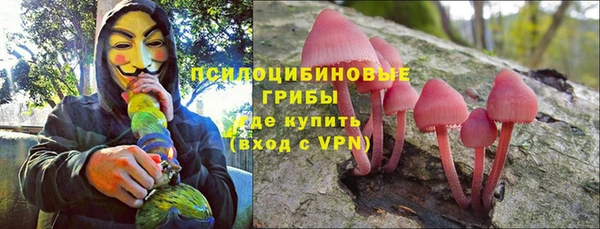 молекула духа Балахна