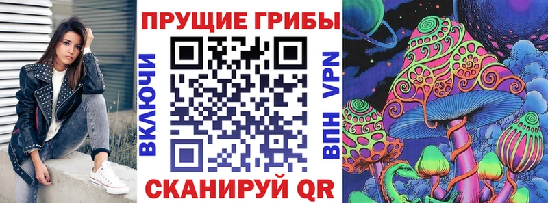 Псилоцибиновые грибы Psilocybe  Спас-Клепики 